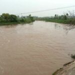 Jakhal News