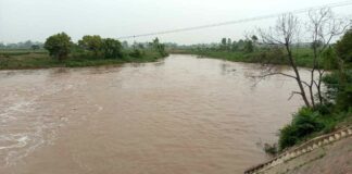 Jakhal News