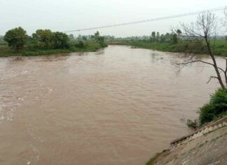 Jakhal News