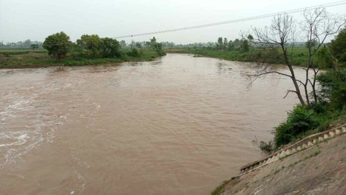 Jakhal News