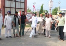 Jakhal News