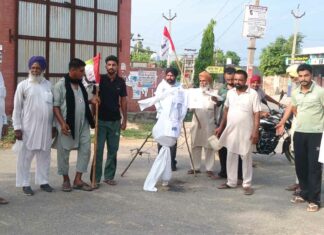 Jakhal News