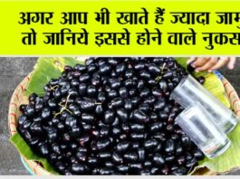 Jamun Side Effects: अगर आप भी खाते हैं ज्यादा जामुन, तो जानिये इससे होने वाले नुकसान Jamun Side Effects
