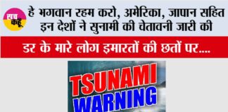 Japan America Tsunami