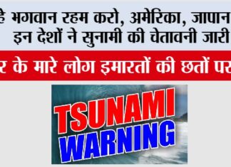 Japan America Tsunami