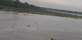 Kairana