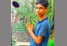 Kairana