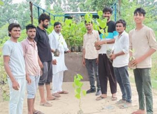 श्रम विभाग की ओर से दभेड़ी खुर्द में कराया गया वृक्षारोपण Kairana