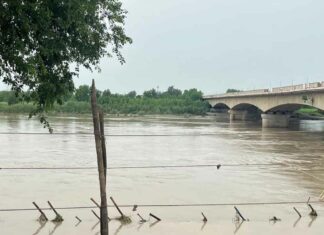 Yamuna River: कैराना में यमुना के बहाव में 105 सेंटीमीटर की गिरावट, राहत Kairana News