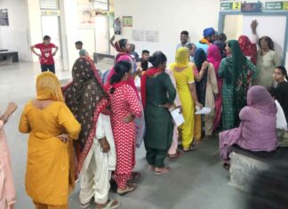 Kaithal News