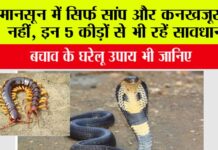 Khatarnak Kido Se Kaise Bache
