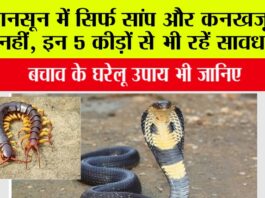 Khatarnak Kido Se Kaise Bache