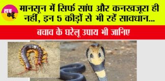 Khatarnak Kido Se Kaise Bache