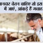 Kisan Career