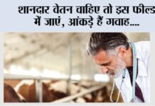 Kisan Career