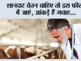 Kisan Career
