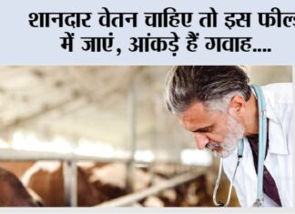 Kisan Career