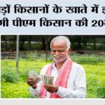 Kisan News