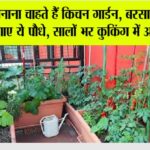 Kitchen Gardening