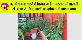 Kitchen Gardening