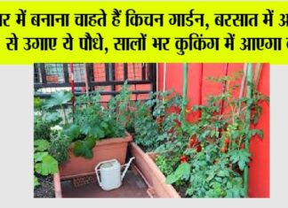 Kitchen Gardening
