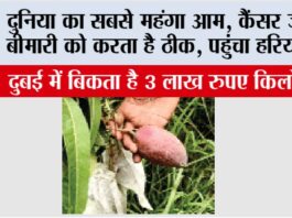 Kurukshetra News