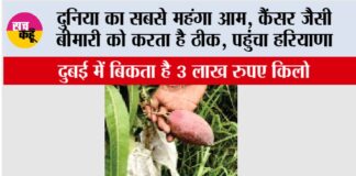 Kurukshetra News