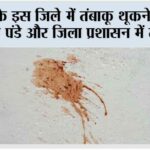 Mirzapur: