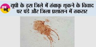 Mirzapur: