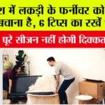Monsoon Furniture Care Tips
