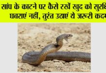 Monsoon Snake Bite