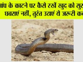 Monsoon Snake Bite