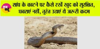 Monsoon Snake Bite