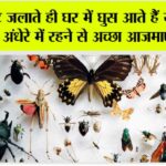 Monsoon Tips