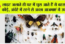 Monsoon Tips