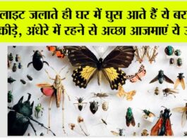 Monsoon Tips