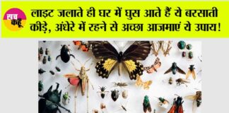 Monsoon Tips