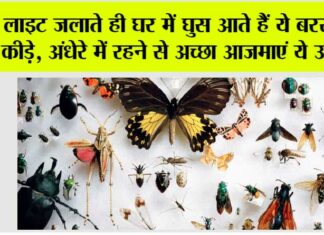 Monsoon Tips