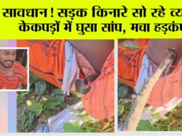 Snake News