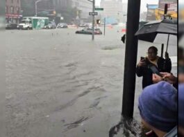 New York Flood News