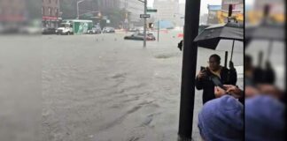 New York Flood News