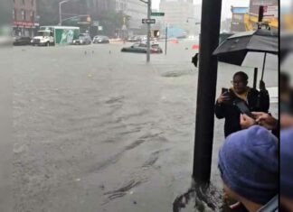 New York Flood News