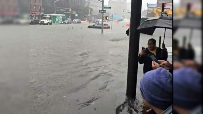 New York Flood News