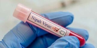 Kerala virus News