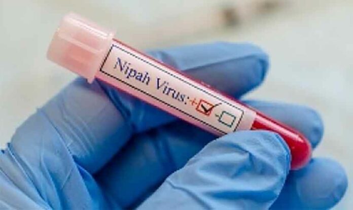 Kerala virus News
