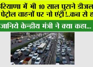 No Fuel For Old Vehicles In Haryana