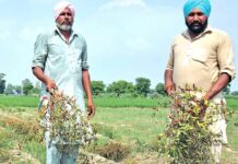 Agricultural News