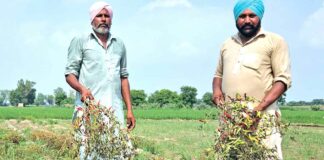 Agricultural News