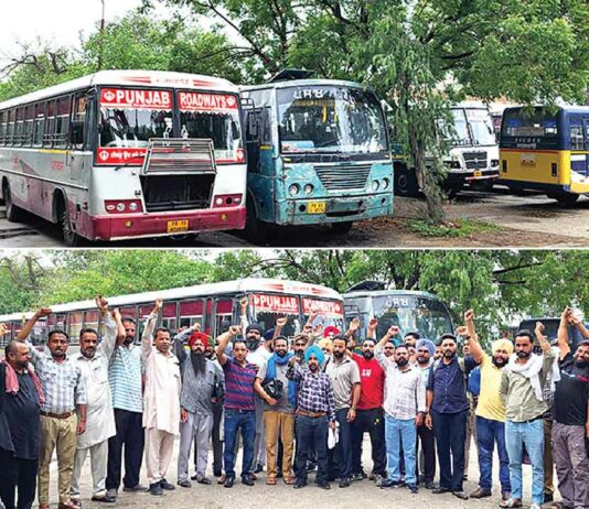 Punjab Bus Strike