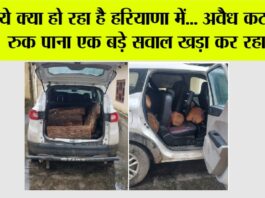 ये क्या हो रहा है हरियाणा में… अवैध कटान न रुक पाना एक बड़े सवाल खड़ा कर रहा है… Yamunanagar News